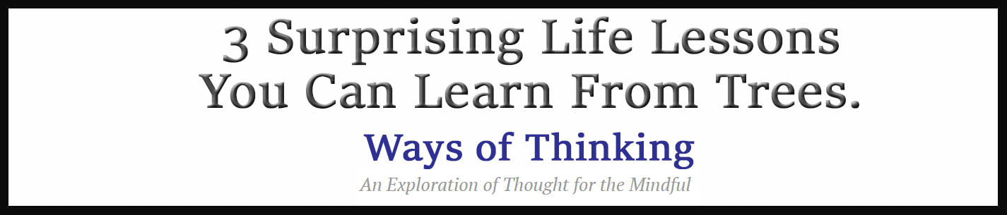 External Link: 3 Surprising Life Lessons You Can Learn From Trees. Part 1. By Dr Linda Berman.
