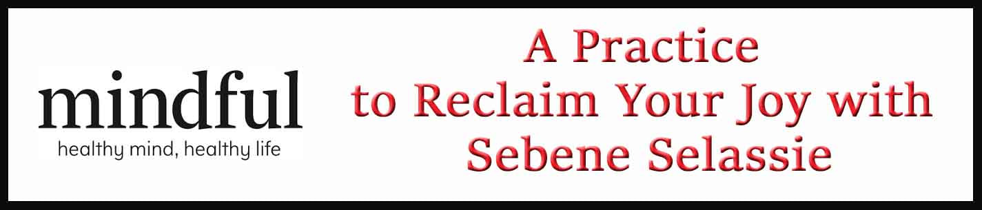 External Link: A Practice to Reclaim Your Joy with Sebene Selassie