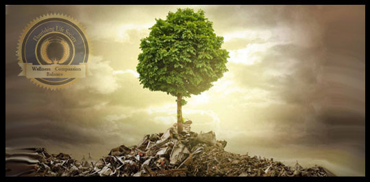 Adapting to Life. A tree growing from a junk pile. A Flourishing Life Society article on adaptation psychology