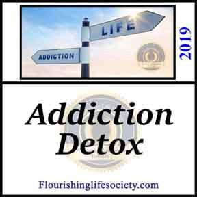 Internal link banner. Detox is not Recovery: Addiction is both biological and behavioral. The escape from life is an adaptation, remaining after the detox. Recovery has only begun. Once free of the blinding influence of the drug, we begin the real work of rebuilding life. 