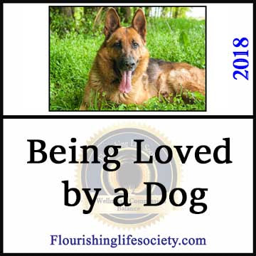 FLS Link. Being Loved by a Dog: Love is never enough. Sometimes people or animals are a mismatch drawing more from well-being than they offer.