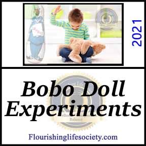 Bobo Doll Experiments. Flourishing Life Society psychological definitions. Flourishing Life Society link. 