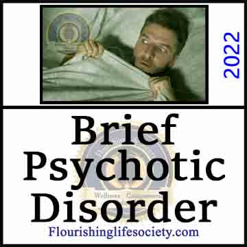 Brief Psychotic Disorder. A Flourishing Life Society article image link