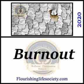 FLS Link. Burnout: We can deplete energy through emotions, mental and physical exertions. When we push too hard, for too long, we burn out. Recovery requires a lifestyle change.