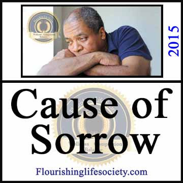 Internal Link: The Sole Cause of Our Sorrow