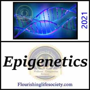 Epigenetics. Gene expression and environmental influences. A Flourishing Life Society article link