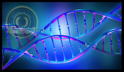 A DNA strand against a blue background. An article on epigenetics