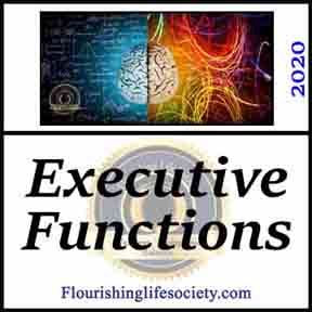 FLS internal Link. Executive Functions | Purposeful Wellness. The fabulous brain employs executive functions to process vast flows of information to direct action in service of our wellness goals. 