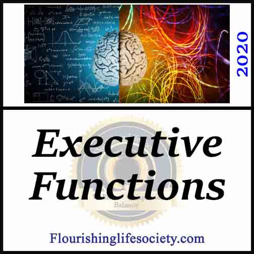 FLS internal Link. Executive Functions | Purposeful Wellness. The fabulous brain employs executive functions to process vast flows of information to direct action in service of our wellness goals. 
