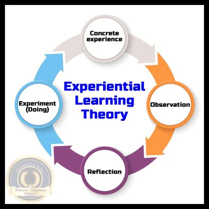Four Learning Stages in Experimental Learning Theory