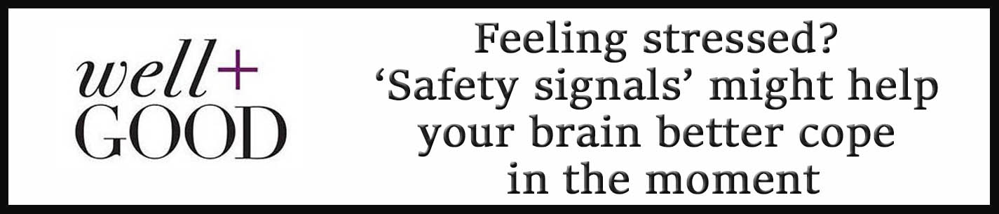 External Link: Feeling stressed? ‘Safety signals’ might help your brain better cope in the moment