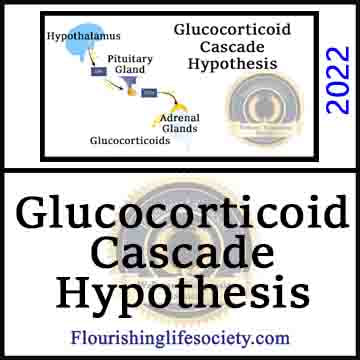 Glucocorticoid Cascade Hypothesis article link