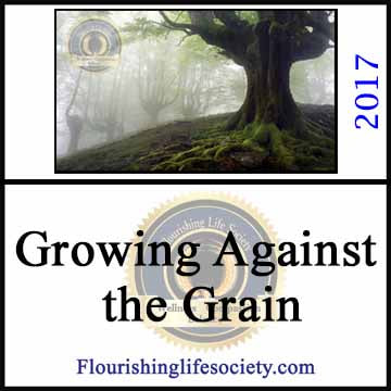 Growing Against the grain. Succeeding against the odds. A Flourishing Life Society article link