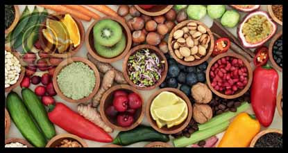A colorful mixture of healthy foods. A Flourishing Life Society article on eating for immune support