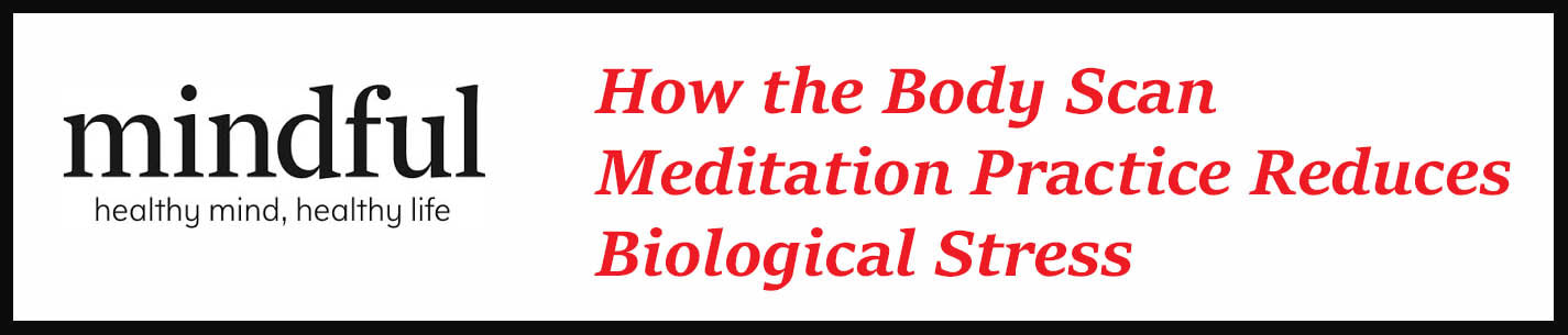 External Link: How the Body Scan Meditation Practice Reduces Biological Stress
