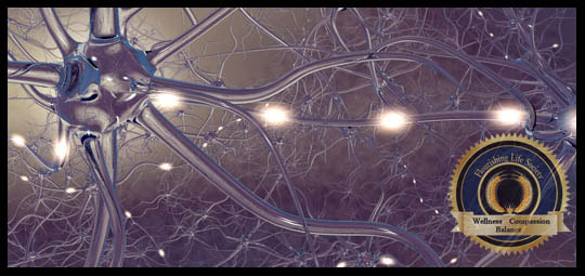 A picture of a firing neuron. A Flourishing Life Society article on stubborn habits