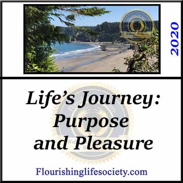 FLS internal Link. Life's Journey: Structure and Chaos.