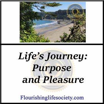 FLS internal Link. Life's Journey: Structure and Chaos. We travel through life, sometimes towards meaningful destinations, other times aimlessly wandering. We need both purpose and pleasure for psychological wellness.