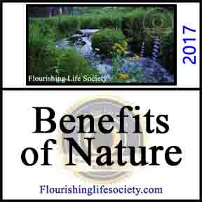 Mental Health Benefits of Nature. A Flourishing Life Society article link