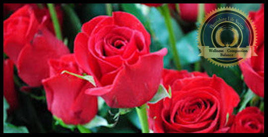 Red Long Stem Roses. An article on rhymes and mantras for well beings