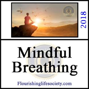 The breathe brings life to the body, feeding the heart and brain. Mindful attention to this life giving process can change our lives.