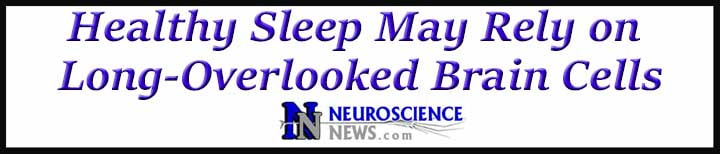 External Link: Healthy Sleep May Rely on Long-Overlooked Brain Cells