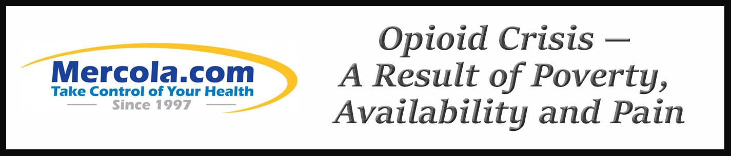 External Link: Opioid Crisis -- A Result of Poverty, Availability and Pain