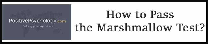 External Link: Delayed Gratification. How to Pass the Marshmallow Test.