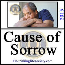 Internal Link: Cause of Sorrows