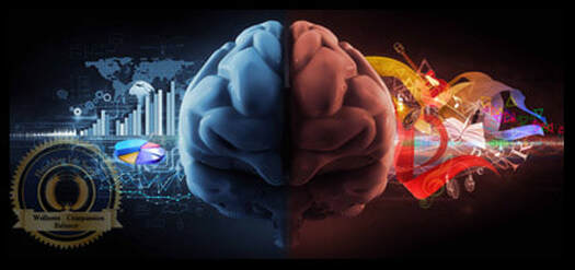 A picture of a brain. One side blue and the other side red. A Flourishing Life Society article on emotions and logic
