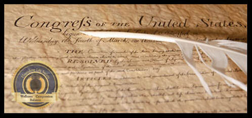 A picture of the Constitution and an old fashion feather ink pen. An article on protecting the constitution