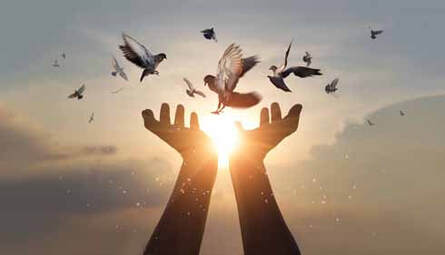 Hands releasing birds symbolizing freedom from burden