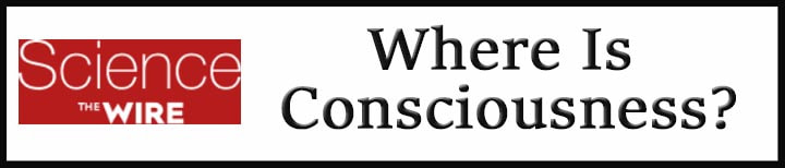 External Link: Where Is Consciousness?