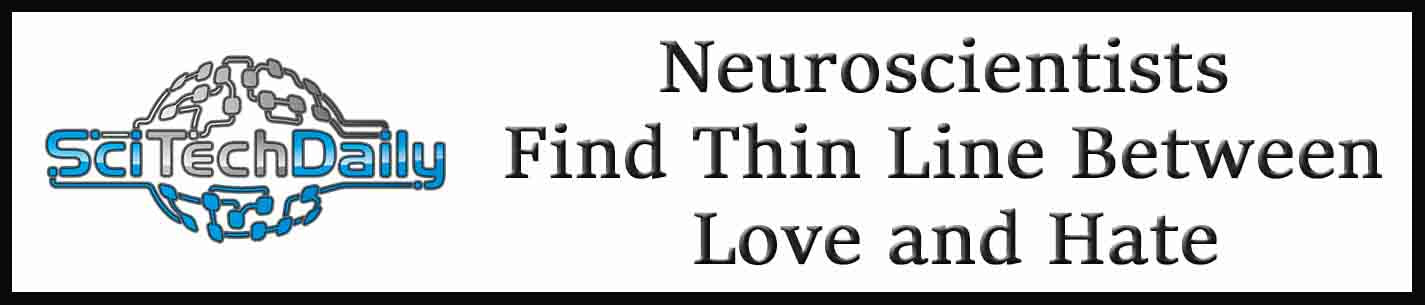 External Link: Neuroscientists Find Thin Line Between Love and Hate