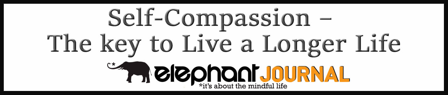 External Link: Self-Compassion – The key to Live a Longer Life