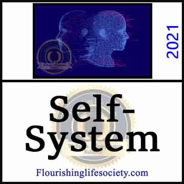 Self-System. A Flourishing Life Society article link.