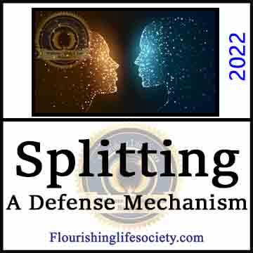 Splitting: A Defense Mechanism. A Flourishing Life Society article image link