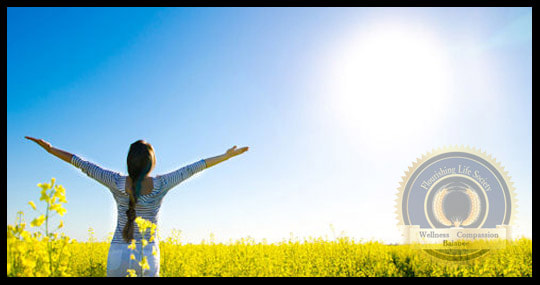 A lady standing in field of flowers with arms outstretched towards the sun. An article on the mental health benefits of the sun.