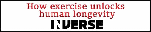 External Link: how exercise unlocks human longevity