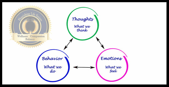 Three colored circles labeled thoughts, emotions and behaviors. A double sided arrow pointing to each, depicting a cycle. A Flourishing Life Society article on thoughts and emotions