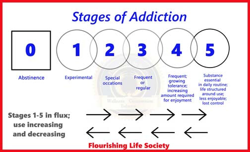 Flourishing Life Society Stages of Addiction